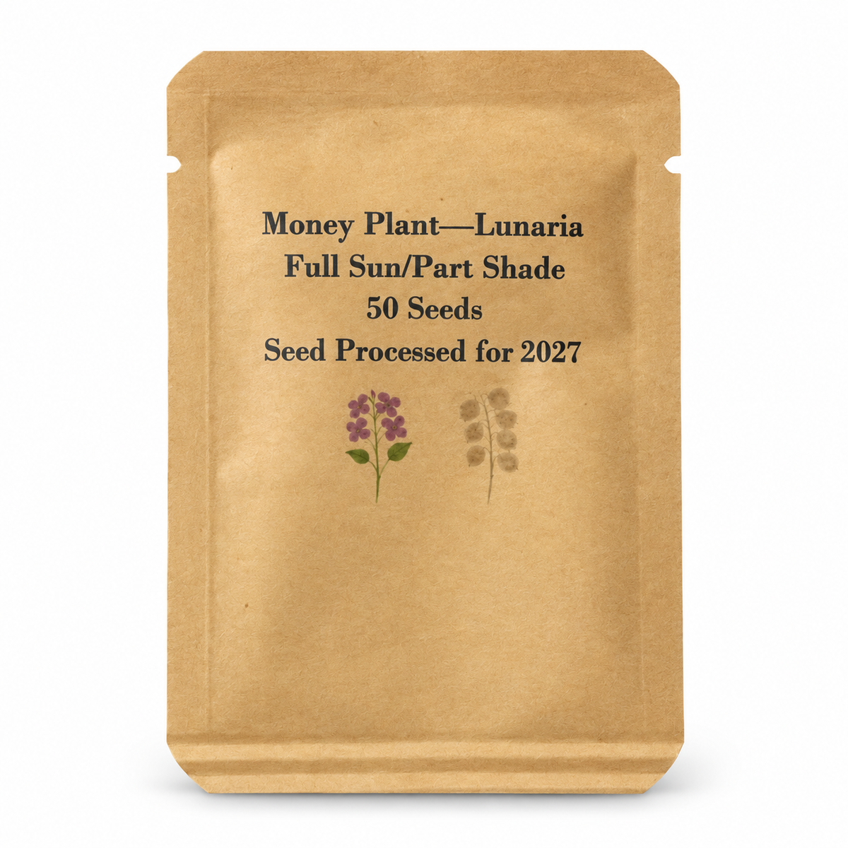 Money Plant Seeds packet from Steep Hill Garden, Lunaria annua dried flower seeds for self-seeding biennial plants in zones 5-9.