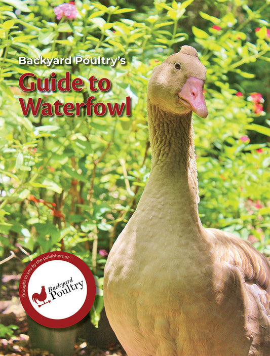 Book cover titled "Backyard Poultry's Guide to Waterfowl" by Mother Earth News, featuring waterfowl illustrations and informative text.