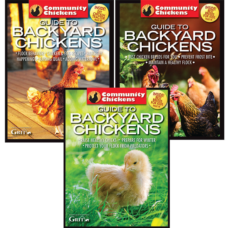 Community Chickens Guide to Backyard Chickens set of magazines by Mother Earth News featuring backyard chicken care tips and images.