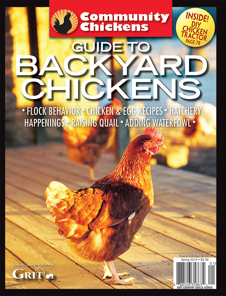 Mother Earth News Community Chickens Guide to Backyard Chickens set of magazines featuring tips and images for raising backyard chickens.