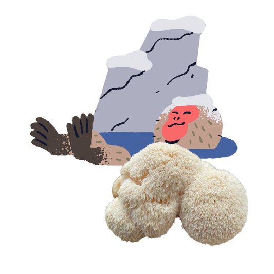 Lion's Mane Mushroom Grow Kit by Mushroom Growing Kit Depot, 6.5 lbs, featuring fresh Lion's Mane mushrooms on a growing substrate.
