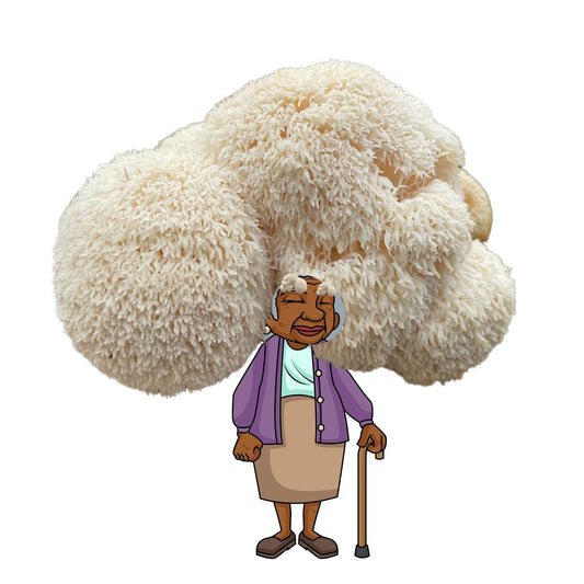 Madam Musherson Lion's Mane Mushroom Grow Kit by Mushroom Growing Kit Depot, 6.5 lbs, featuring fresh mushroom colonization in a clear container.