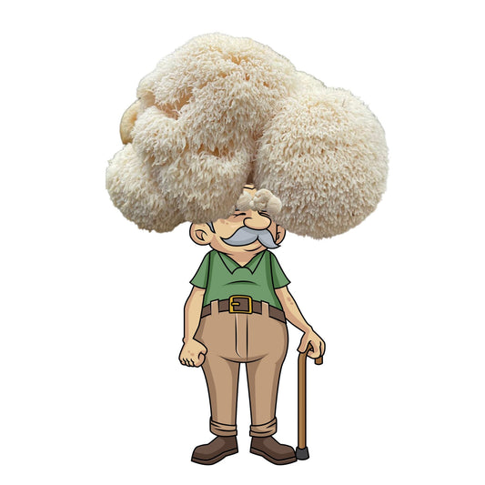 Lion's Mane mushroom grow kit by Mushroom Growing Kit Depot, showing the kit packaging and mushroom spawn for home cultivation.