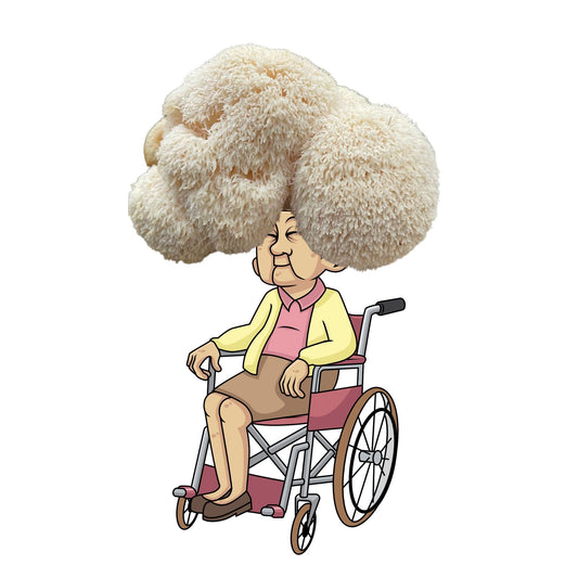 Lion's Mane Mushroom Grow Kit by Mushroom Growing Kit Depot, 6.5 lbs, featuring the mushroom cultivation setup with growing substrate.