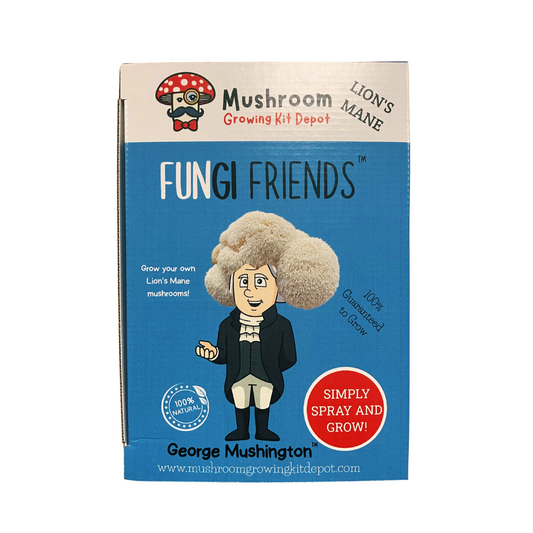 George Mushington Lion's Mane Mushroom Grow Kit, 5 lbs, with box, featuring healthy mushroom mycelium ready for cultivation.