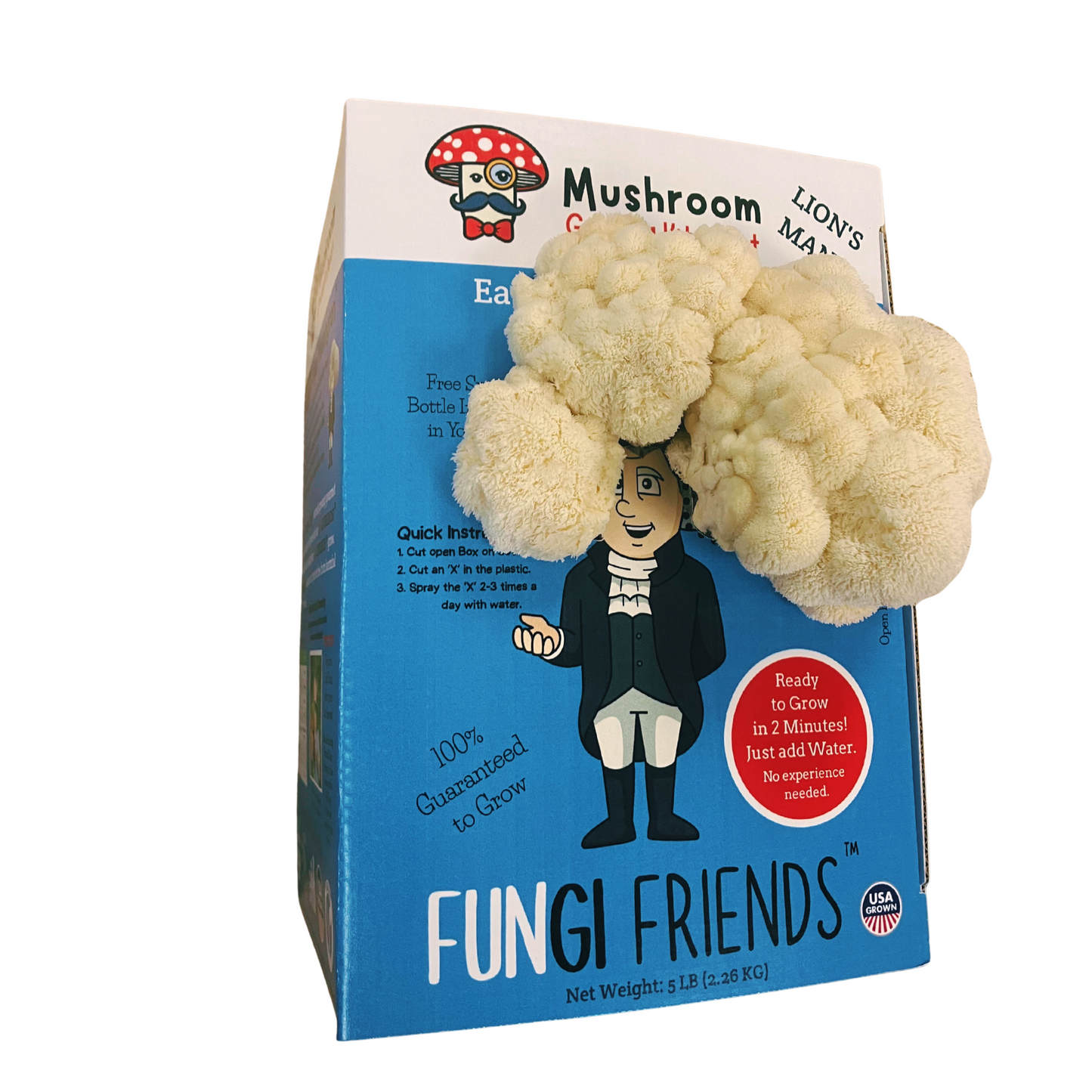 George Mushington Lion's Mane Mushroom Grow Kit, 5 lbs, with box, featuring healthy mushroom mycelium in a compact kit by Mushroom Growing Kit Depot.