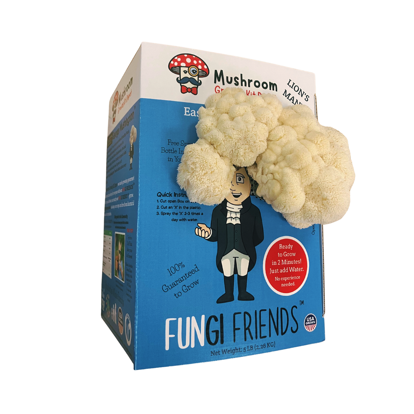 George Mushington Lion's Mane Mushroom Grow Kit by Mushroom Growing Kit Depot, 5 lbs with box, featuring healthy mushroom growth.