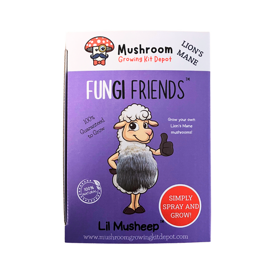 Lion's Mane Mushroom Grow Kit by Mushroom Growing Kit Depot, 5 lbs with box, featuring the mushroom culture and packaging.