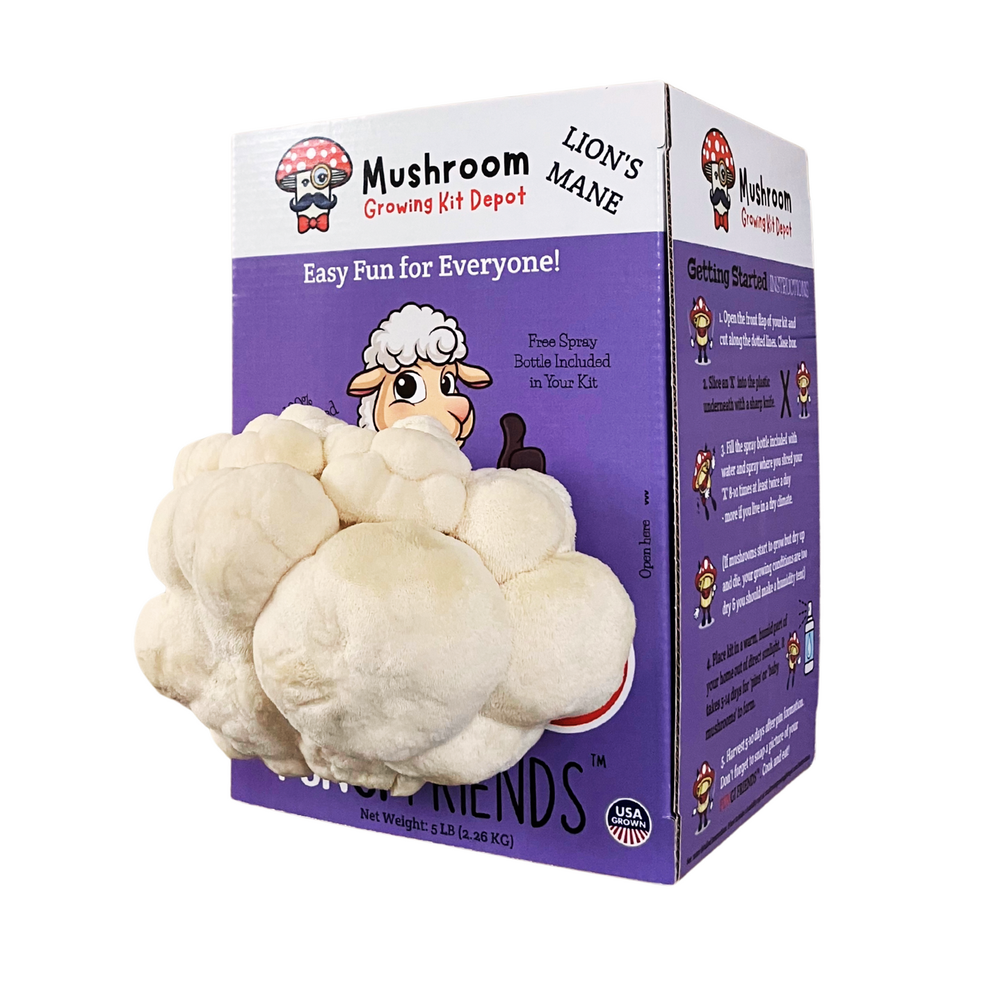 Lion's Mane Mushroom Grow Kit by Mushroom Growing Kit Depot, 5 lbs with box, ready for indoor mushroom cultivation