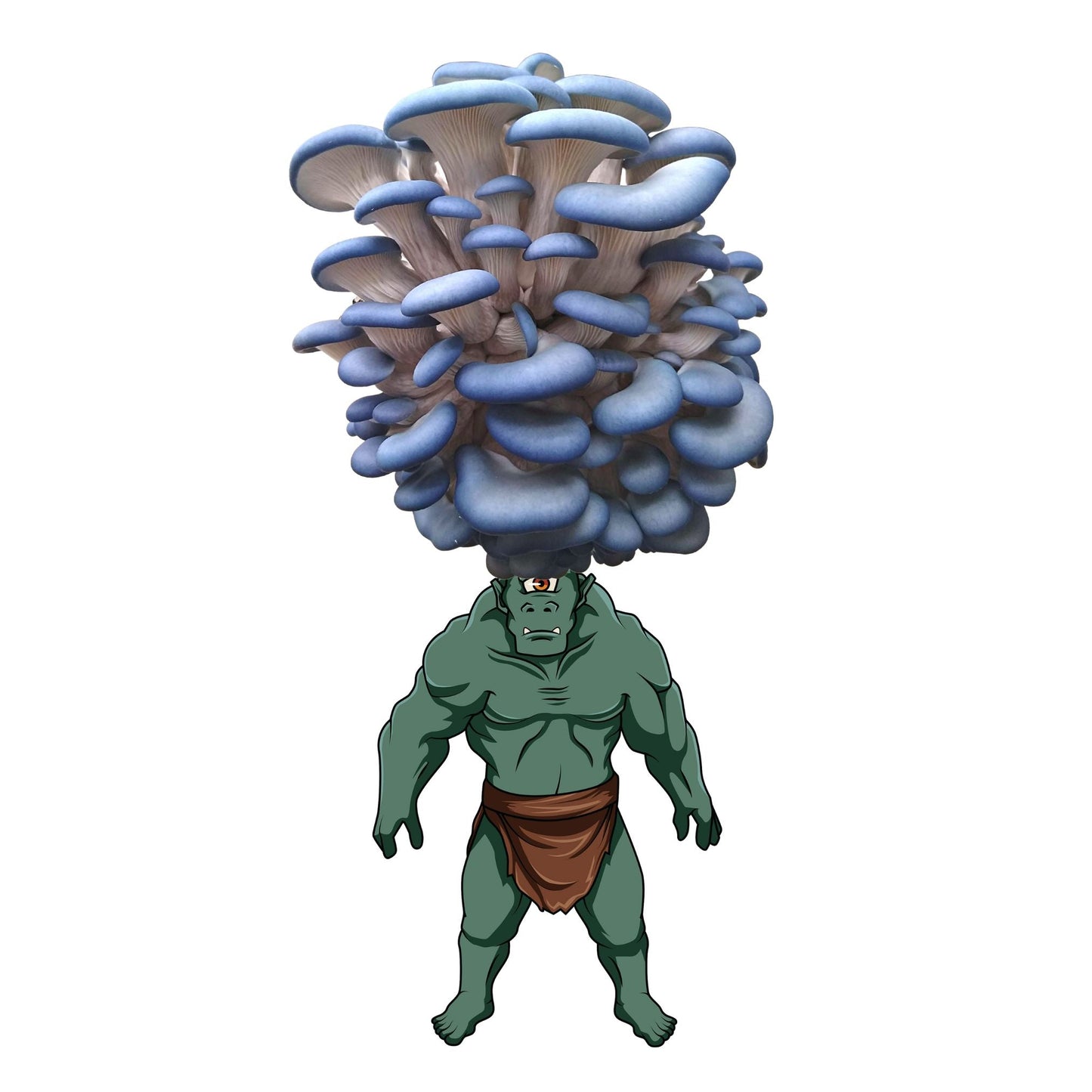 Blue oyster mushroom grow kit by Mushroom Growing Kit Depot, featuring healthy oyster mushrooms on a 6.5-pound kit.