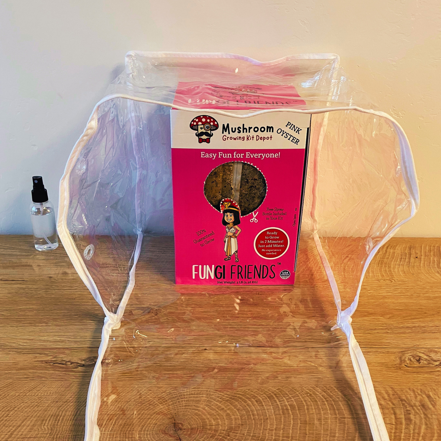 Pink oyster mushroom grow kit by Mushroom Growing Kit Depot, 5 lbs, with box, showcasing the mushroom cultivation setup.