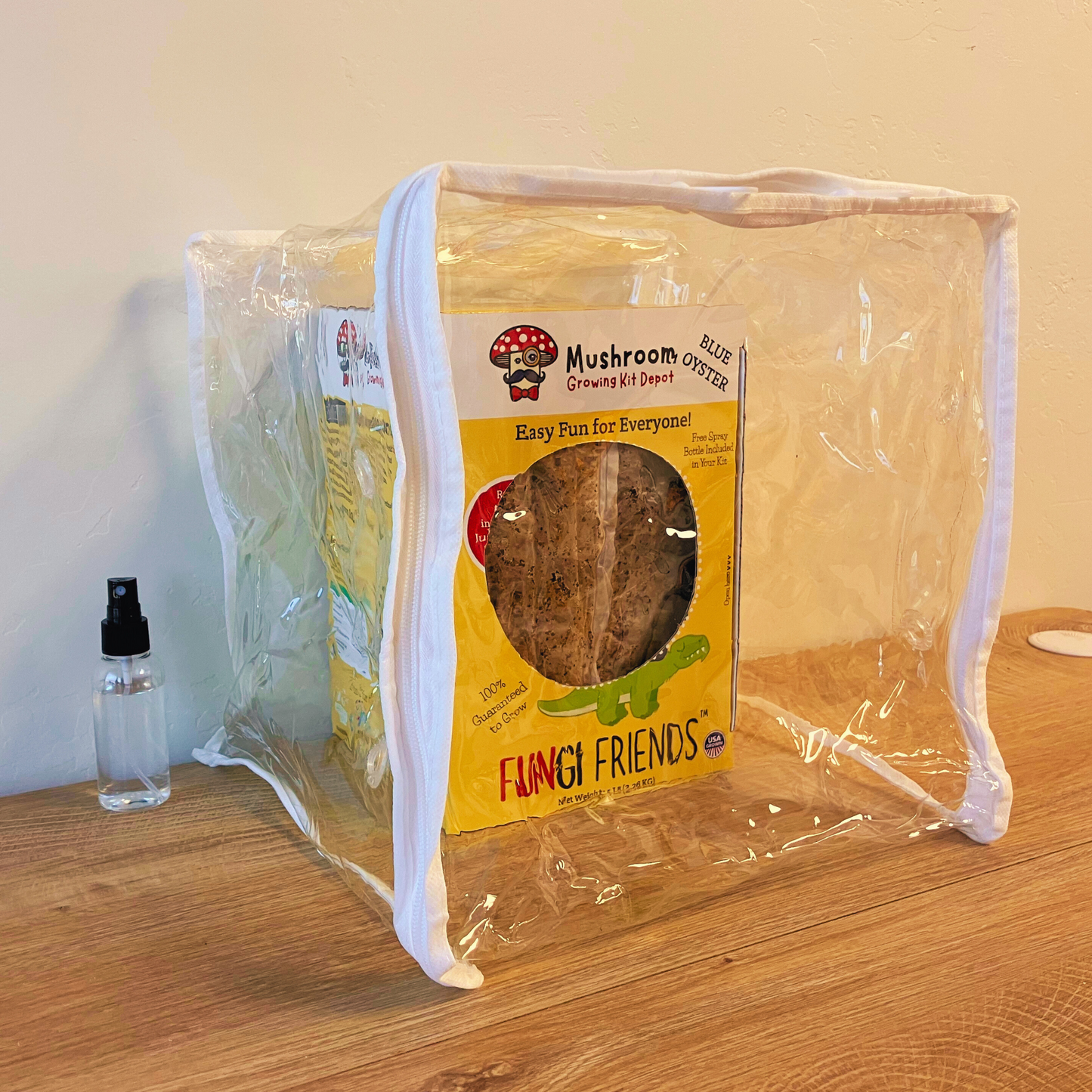 Blue oyster mushroom grow kit by Mushroom Growing Kit Depot in a box, featuring fresh, healthy oyster mushrooms and the kit packaging.