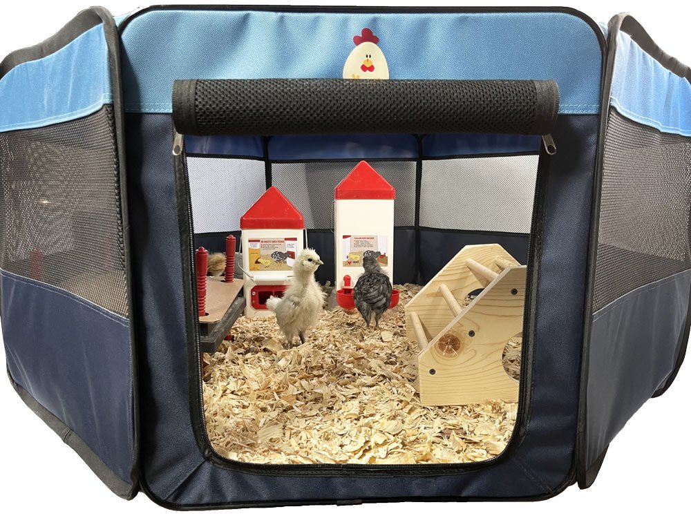 My Pet Chicken Hen Pen Pop-Up Brooder, a portable baby chick supply with a secure enclosure and easy setup for young chickens.