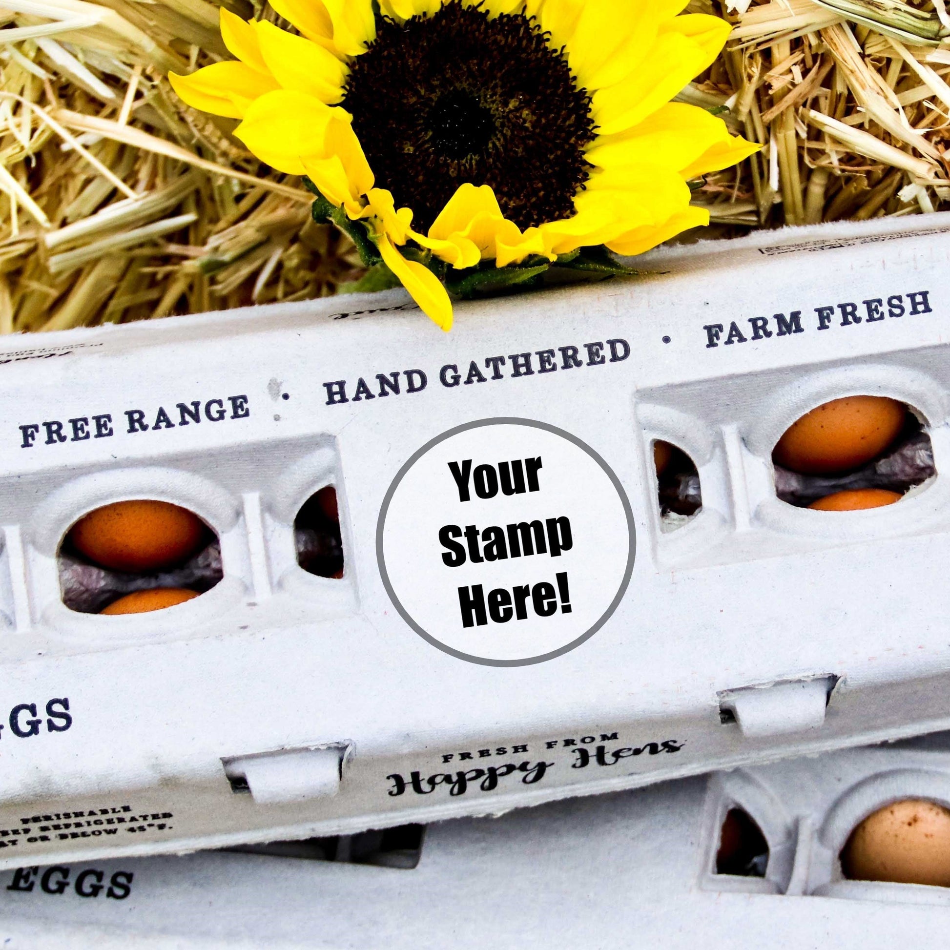 Blank Henlay egg cartons by My Pet Chicken, 25, 90, or 250 count, showing empty white cartons for egg storage or stamping.