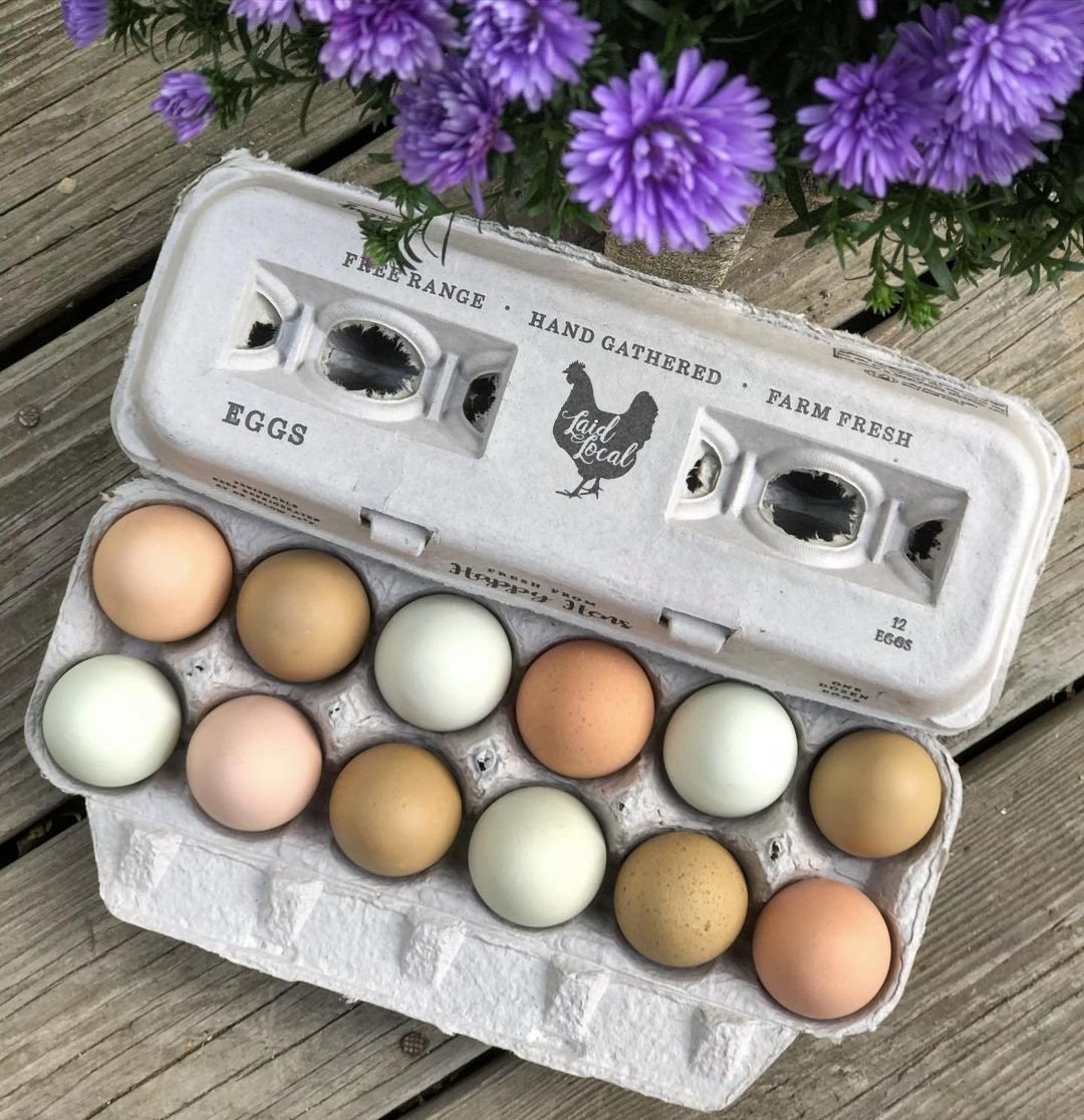 My Pet Chicken Henlay Laid Local Egg Carton with vintage printed design, available in 25, 90, or 250 eggs.