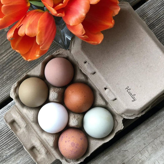 Six-pack of Tan Henlay blank flat-top egg cartons from My Pet Chicken, perfect for storing or selling fresh eggs.
