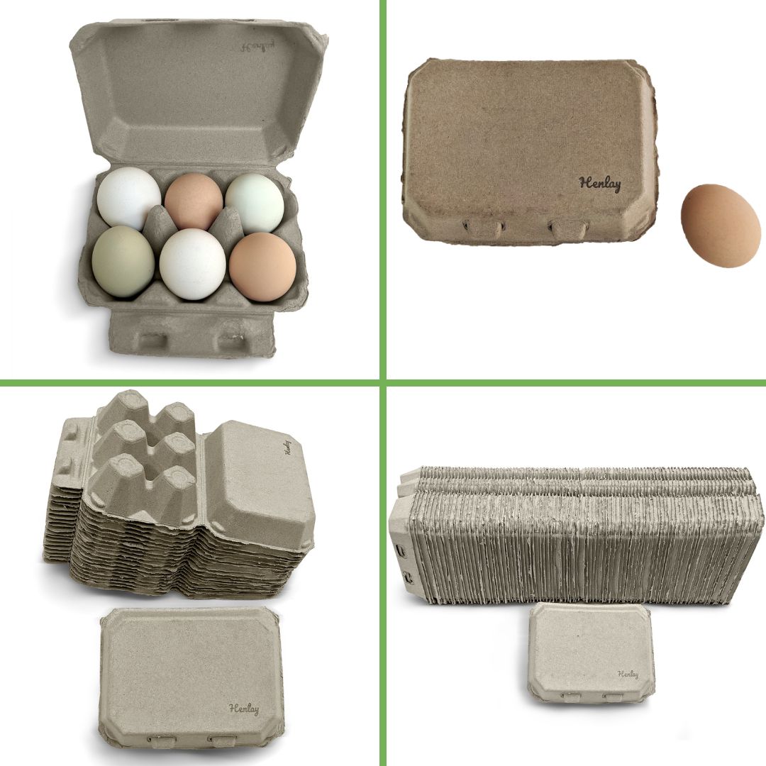 Six-pack of Henlay blank flat top egg cartons by My Pet Chicken, available in two colors, suitable for 20 or 100 eggs.