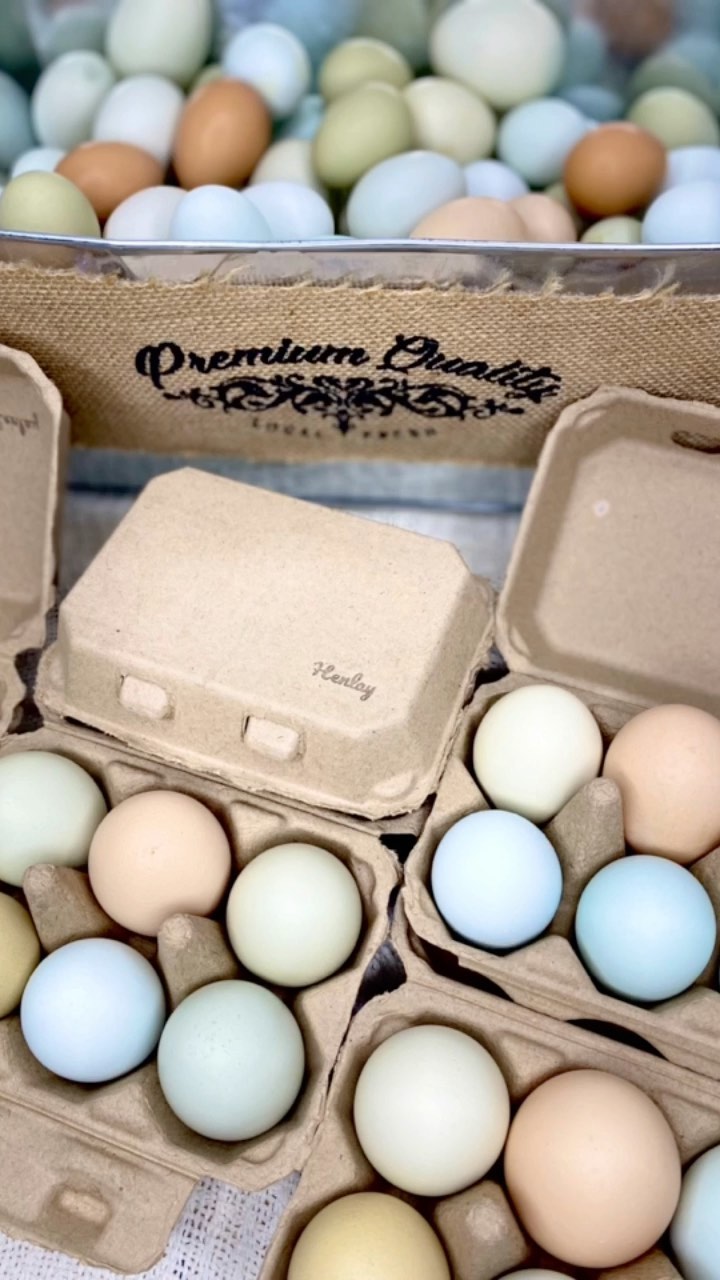 Six-pack of Henlay blank flat top egg cartons by My Pet Chicken, available in two colors, ideal for storing eggs.