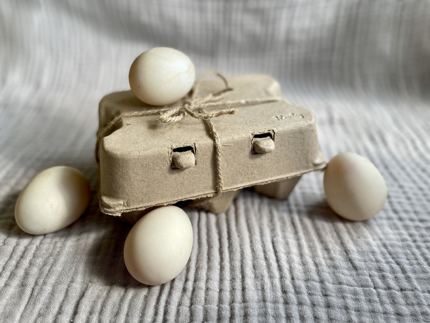 White Henlay duck egg carton holding half a dozen jumbo eggs, blank flat top, available in two colors, 20 or 100 pack.