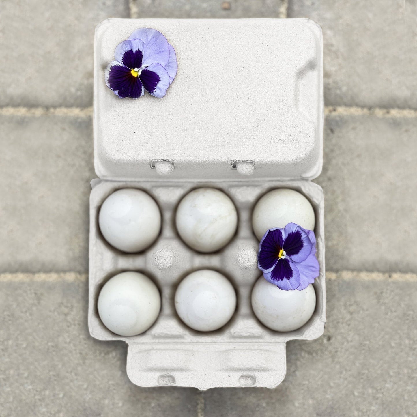 White Henlay Duck Egg Carton for half-dozen jumbo eggs, blank flat top, available in 20 or 100 count, from My Pet Chicken.
