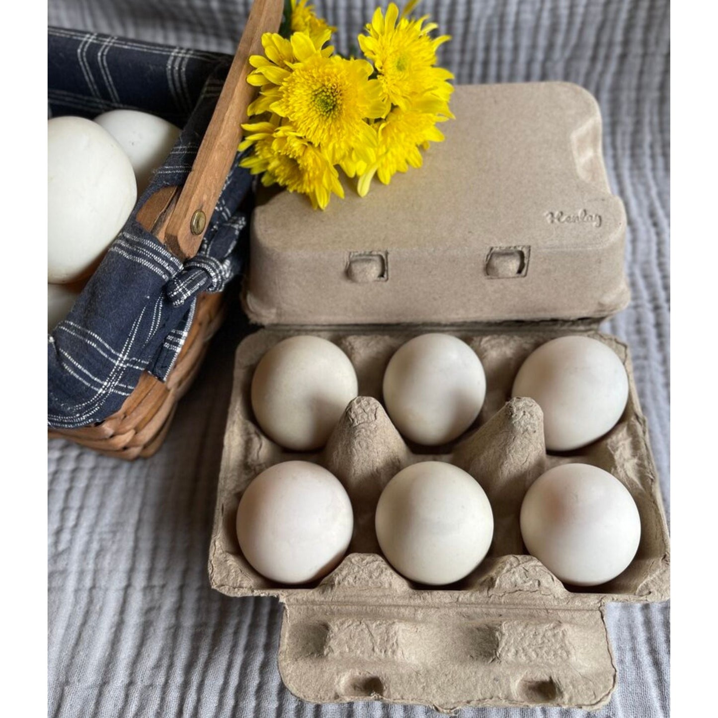White Henlay duck egg cartons by My Pet Chicken, holds half dozen jumbo eggs, flat top design, available in 20 or 100 pack sizes.