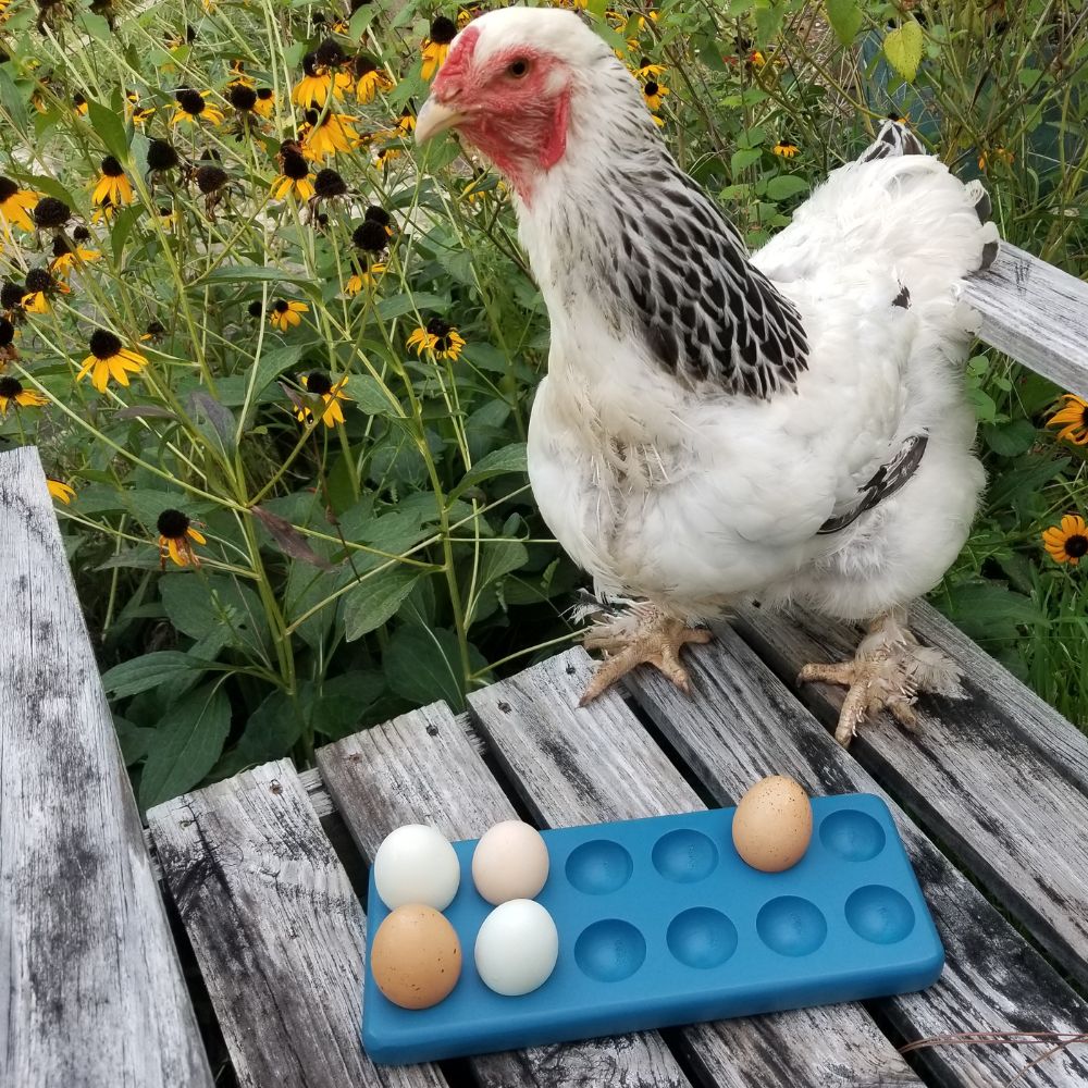 Wooden Henlay Decorative Egg Storage Tray by My Pet Chicken, designed for refrigerator, kitchen counter, serving, or display use.