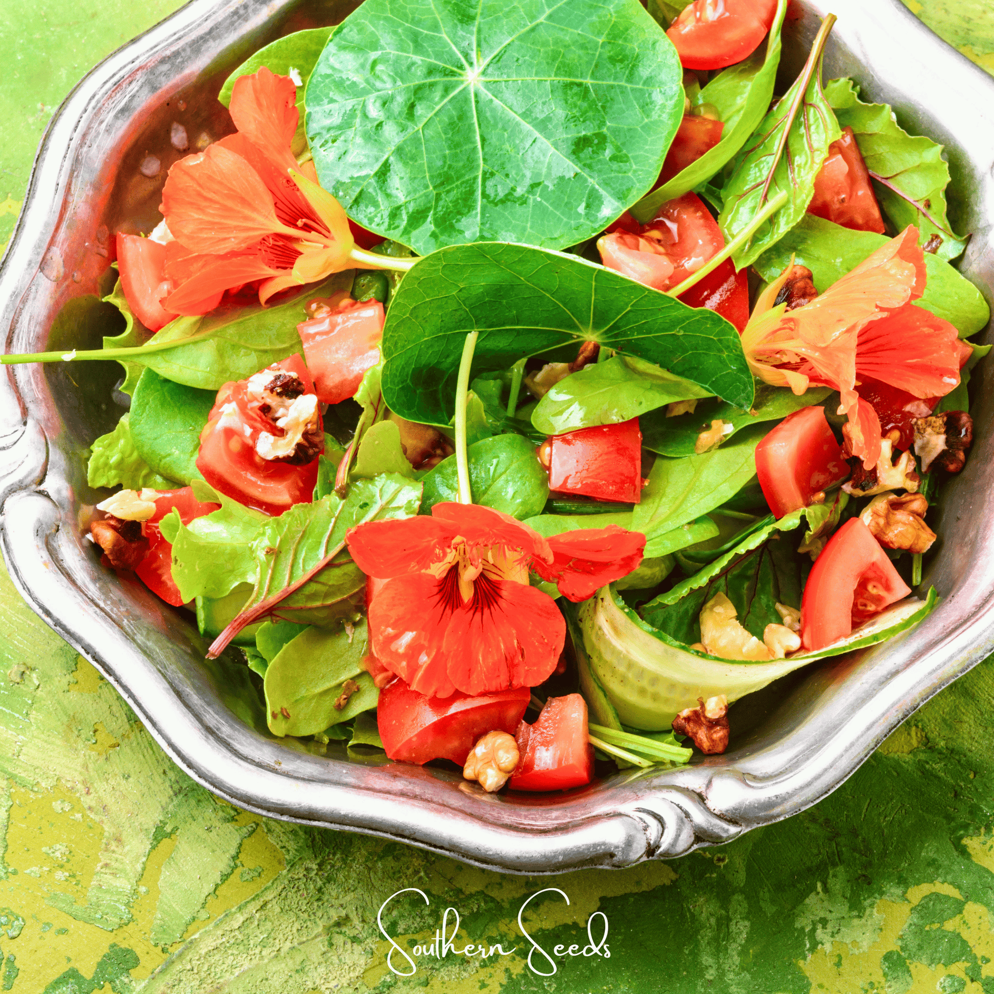 Alaska Mix Nasturtium seeds from Southern Seeds, shown in a packet, with colorful flower images on the packaging.