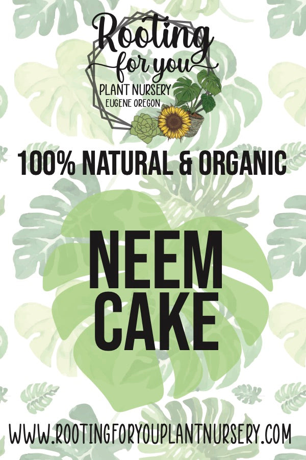 Neem Cake Neem Meal soil amendment from Rooting For You Plant Nursery, showing natural, unprocessed neem cake for organic gardening.