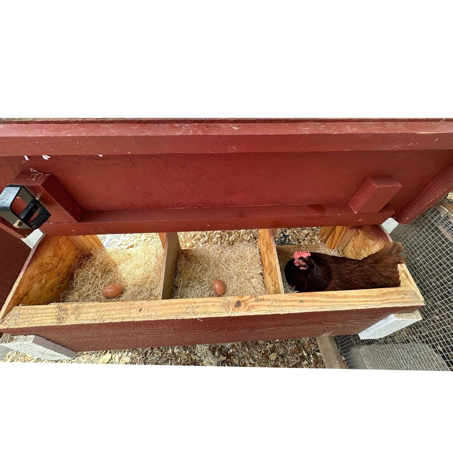 Medium OverEZ Chicken Coop with nesting box for up to 10 chickens, featuring a spacious design and durable construction.