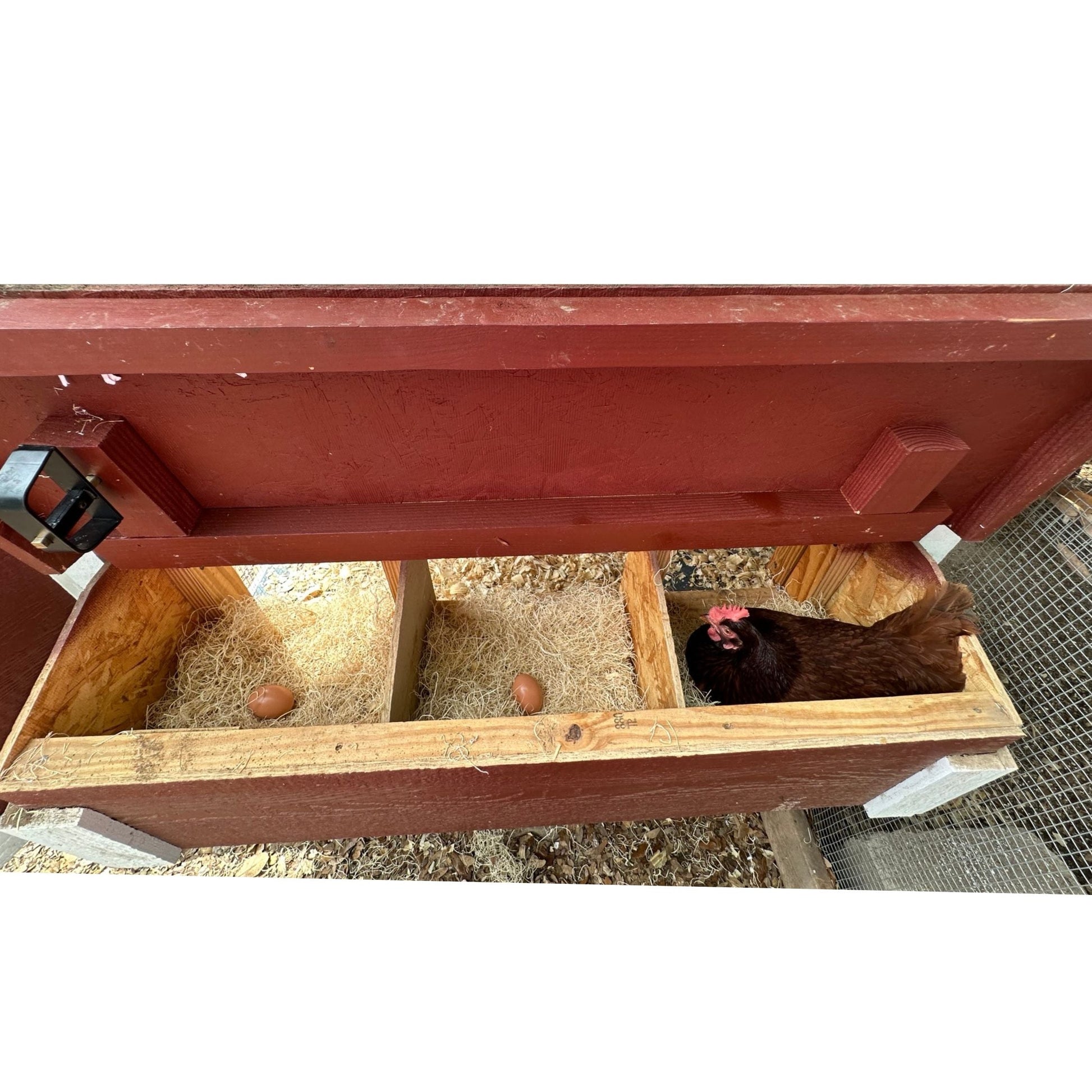 Medium OverEZ Chicken Coop with nesting box for up to 10 chickens, featuring a spacious design and durable construction.