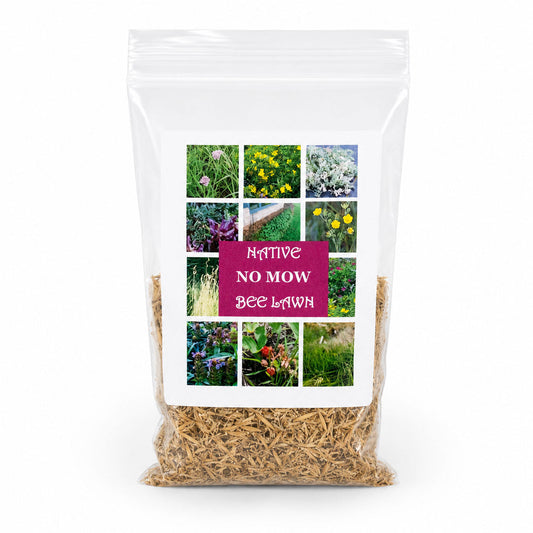 No Mow Bee Lawn native seed wildflower mix from Prairie Legacy Inc., showing a close-up of vibrant wildflower seeds on a natural background.