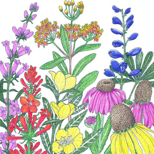 North American perennial native wildflower seed mix by Grow Organic in a 1/4 lb bag, showing colorful flower seeds for planting.