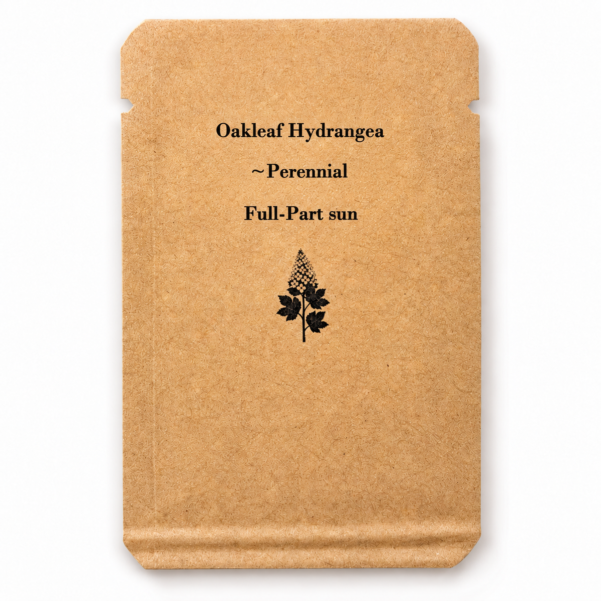 Packet of Oakleaf Hydrangea (Hydrangea quercifolia) seeds from Steep Hill Garden, featuring images of seed packet and plant illustration.