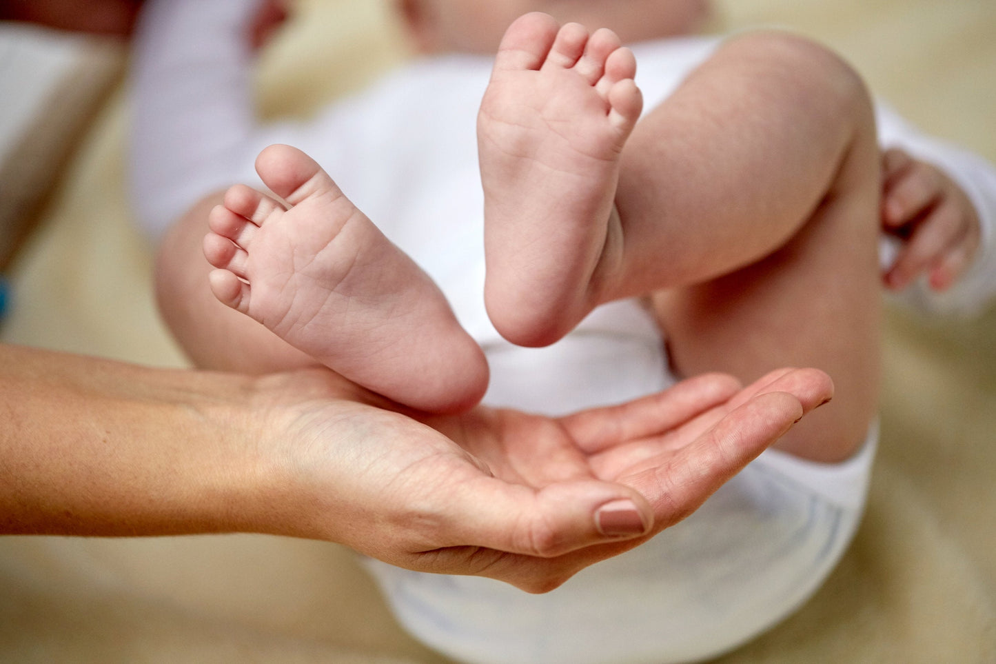 Organic diaper balm by Sweet Harvest Farms, soothing chafing and cracked skin on babies' or adults' bottoms.