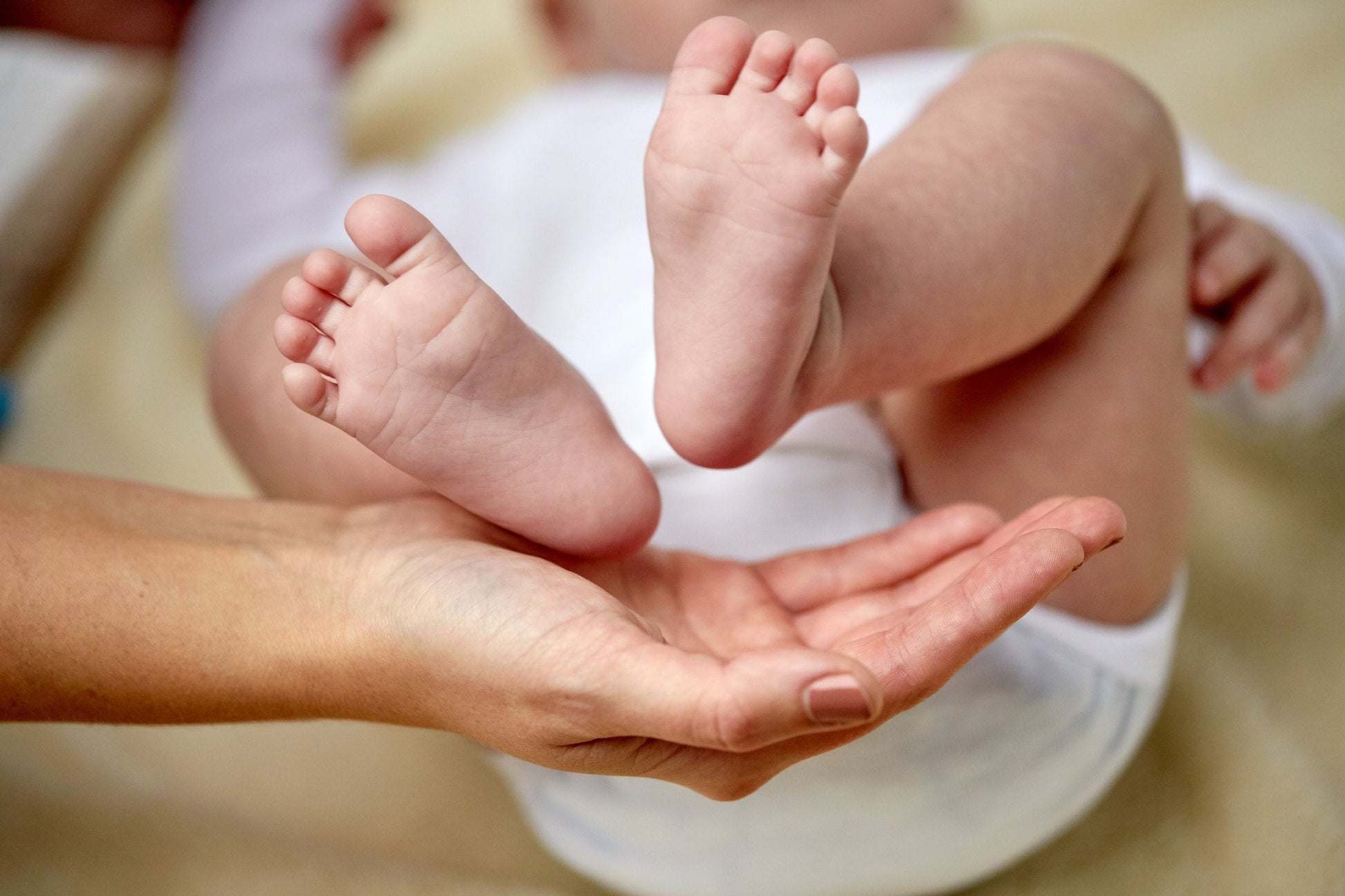 Organic diaper balm by Sweet Harvest Farms, soothing chafing and cracked skin on babies' or adults' bottoms.