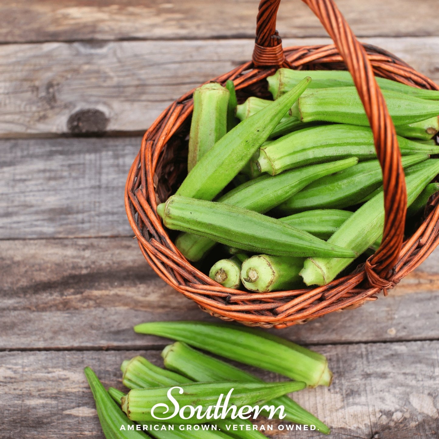 Clemson Spineless okra seeds from Southern Seeds, showing 50 seeds of the smooth, spineless okra variety for gardening and planting.