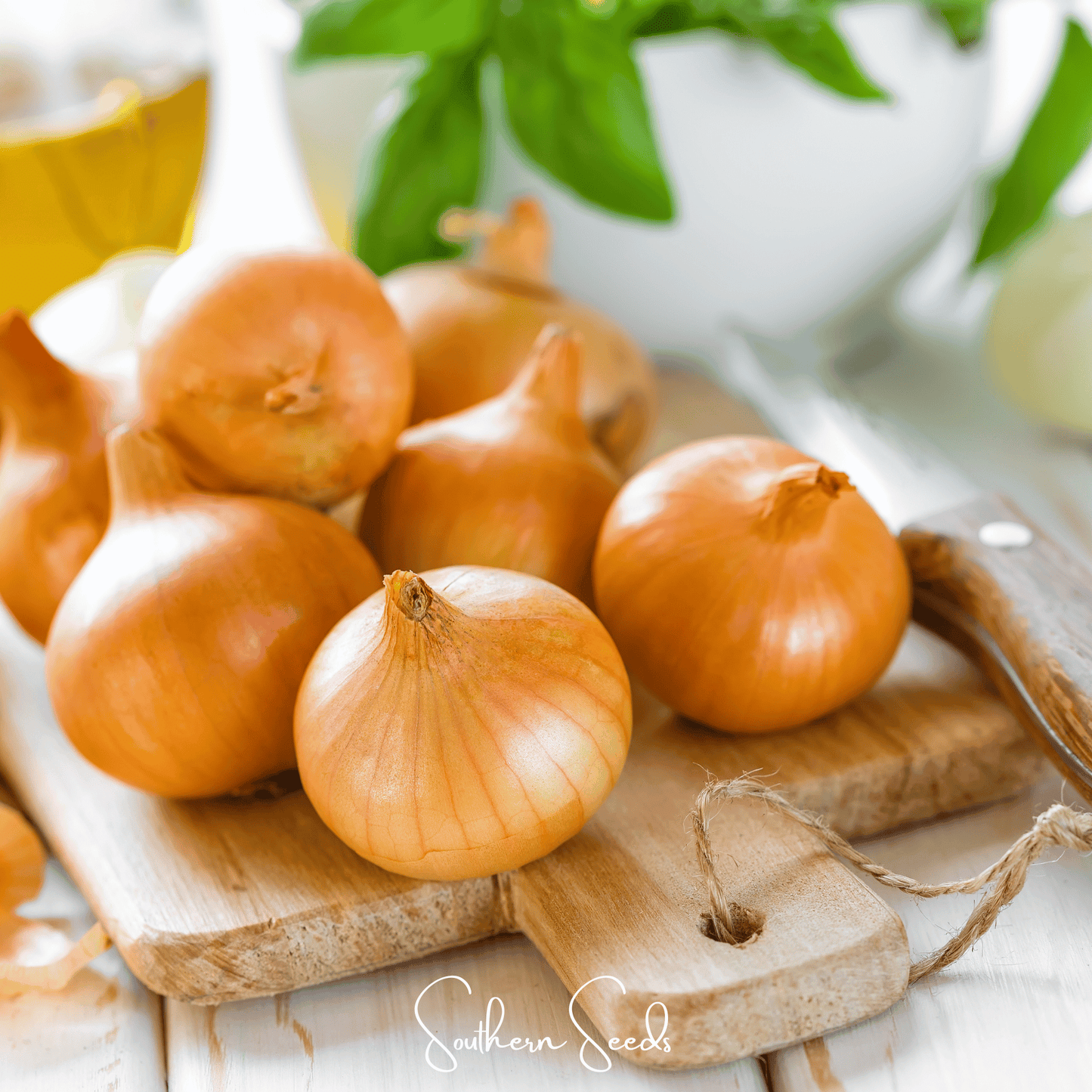 Texas Grano Early Onion seeds from Southern Seeds, small onion bulbs with green tops, packaged in a seed packet.
