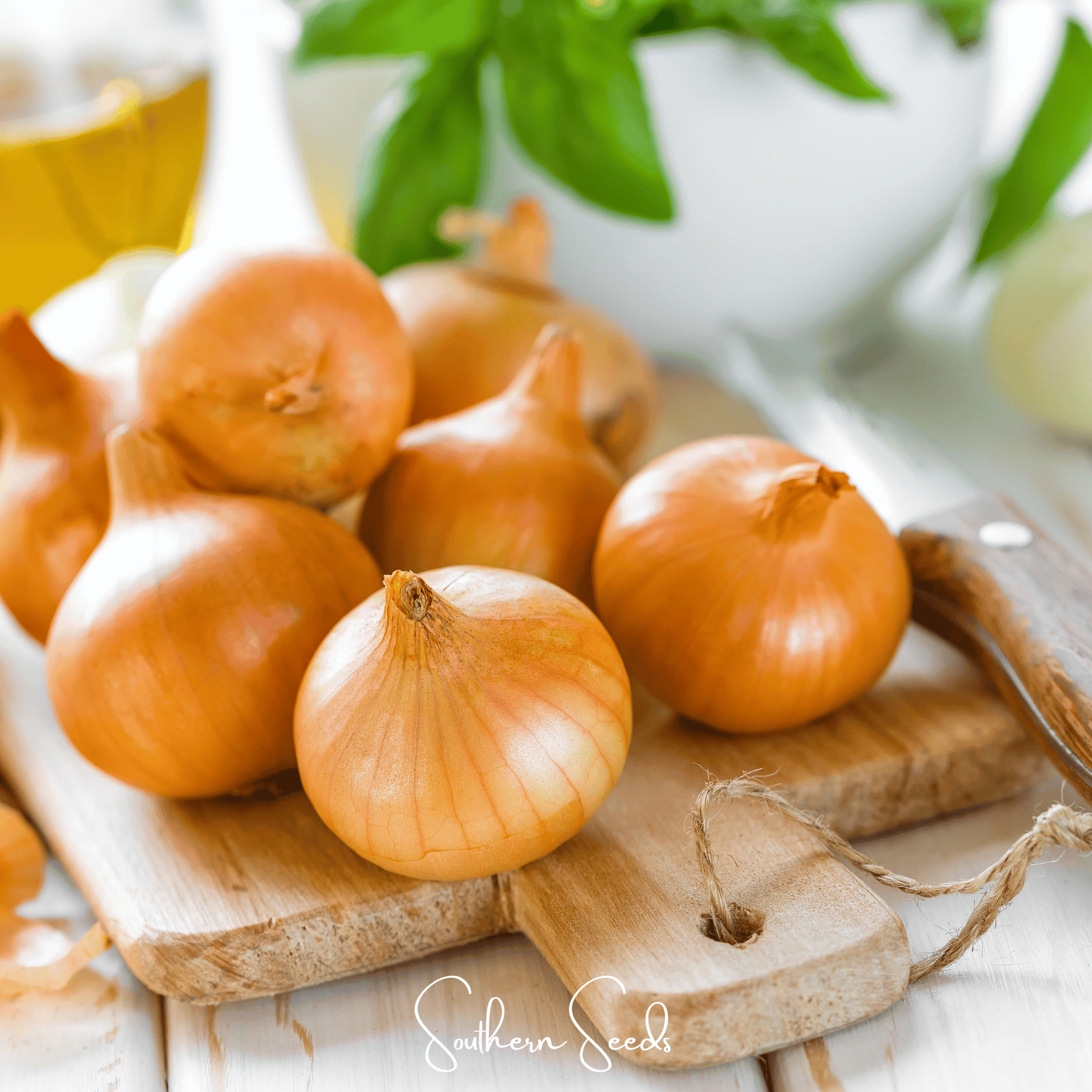 Texas Grano Early Onion seeds from Southern Seeds, small onion bulbs with green tops, packaged in a seed packet.