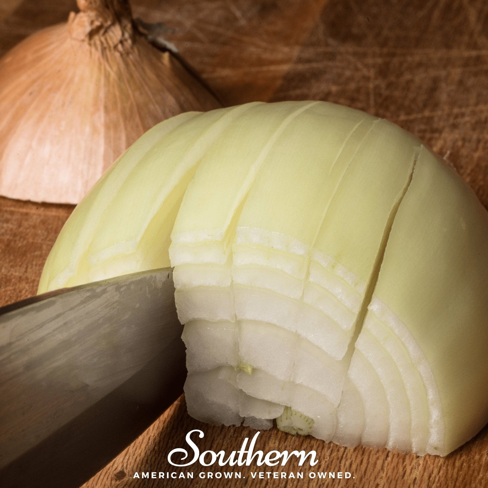 Utah Yellow Sweet Spanish Onion from Southern Seeds, showing a mature yellow onion with smooth skin and round shape.