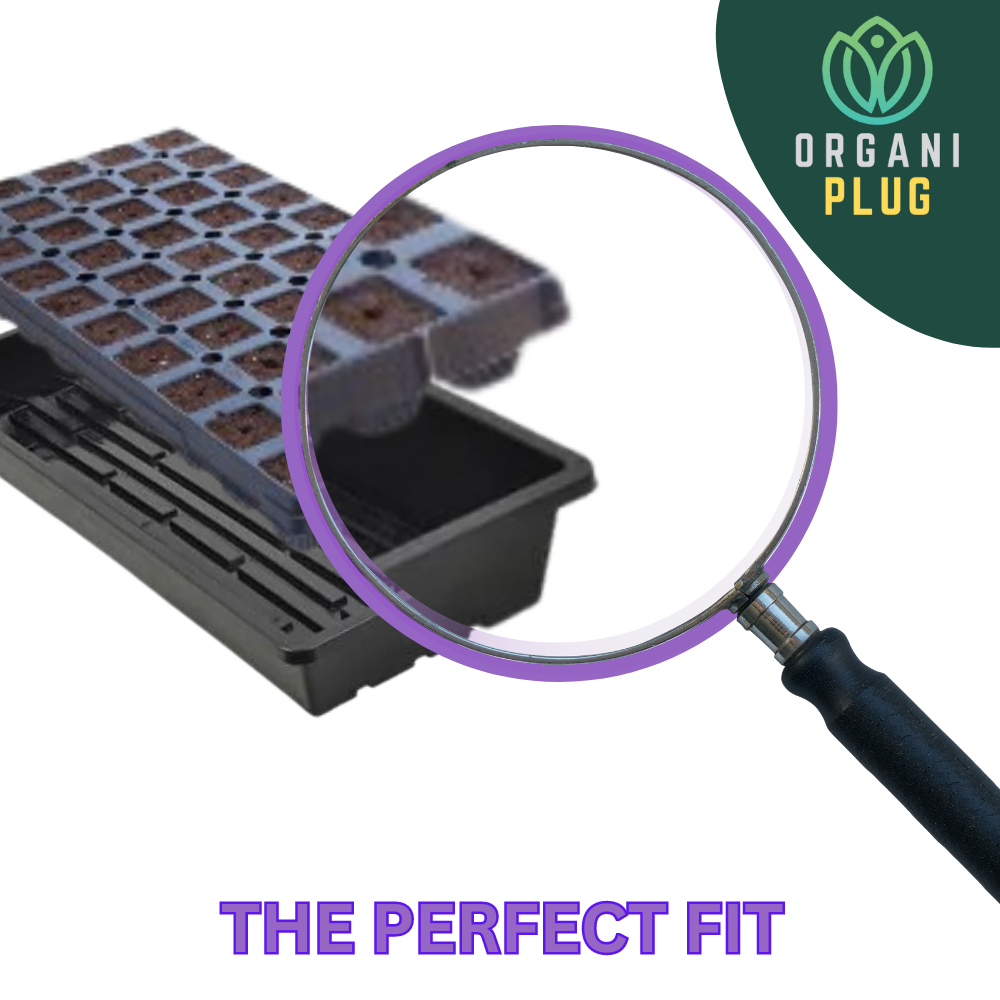OrganiPlug seed and cutting propagation plugs in a tray, designed for standard propagation trays, suitable for plant growth.