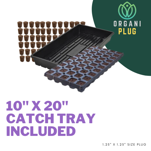 OrganiPlug seed and cutting propagation plugs in a tray, designed for easy planting and root development by GrowersHouse.