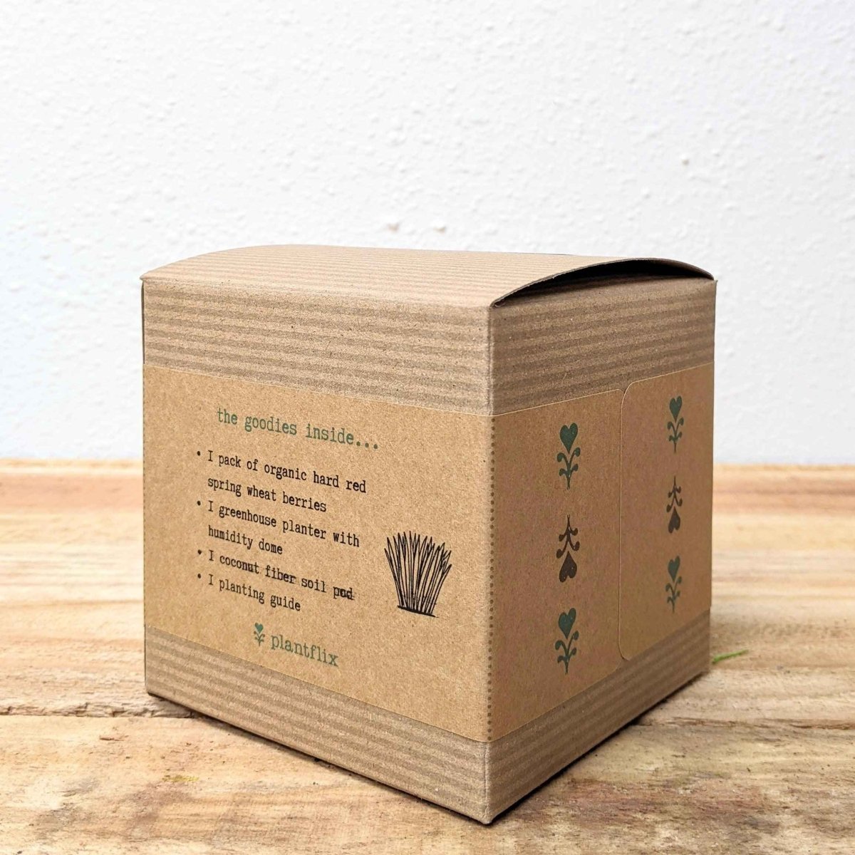 Organic Petgrass Grow Kit with sprouting seeds for healthy pet grass, by Plantflix, shown with soil and lush green grass sprouts.