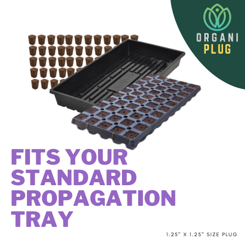 GrowersHouse OrganiPlug Seed and Cutting Plugs in a pre-filled tray, showcasing 50 eco-friendly propagation plugs for seedlings and clones.