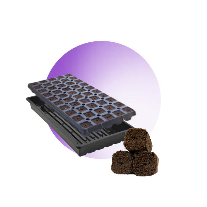 OrganicSeed & Cutting Plugs from GrowersHouse in a pre-filled tray with 50 plugs, suitable for seedlings and propagation.