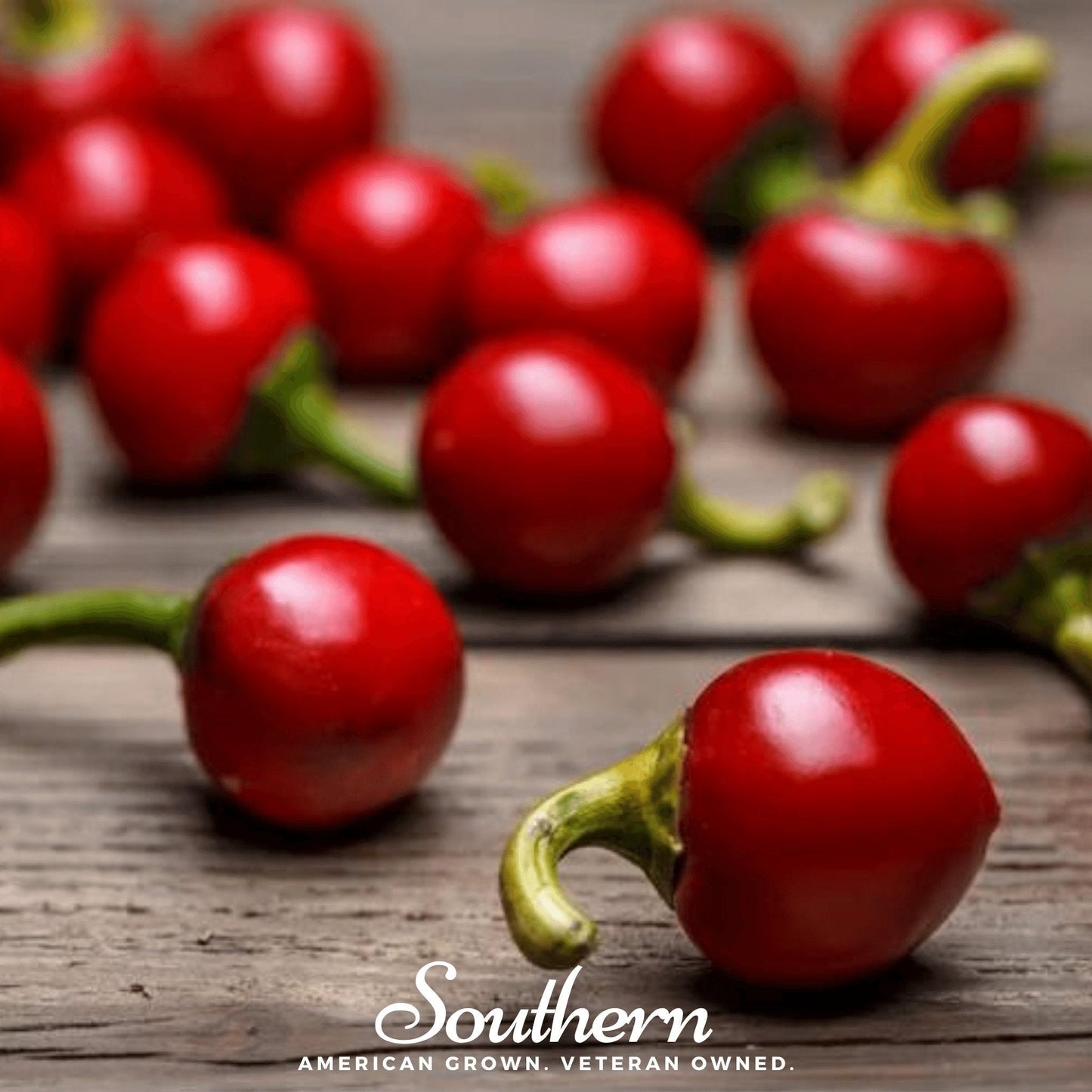 Red Hot Cherry Pepper seeds from Southern Seeds, vibrant red chili peppers, small and glossy, perfect for spicy dishes.
