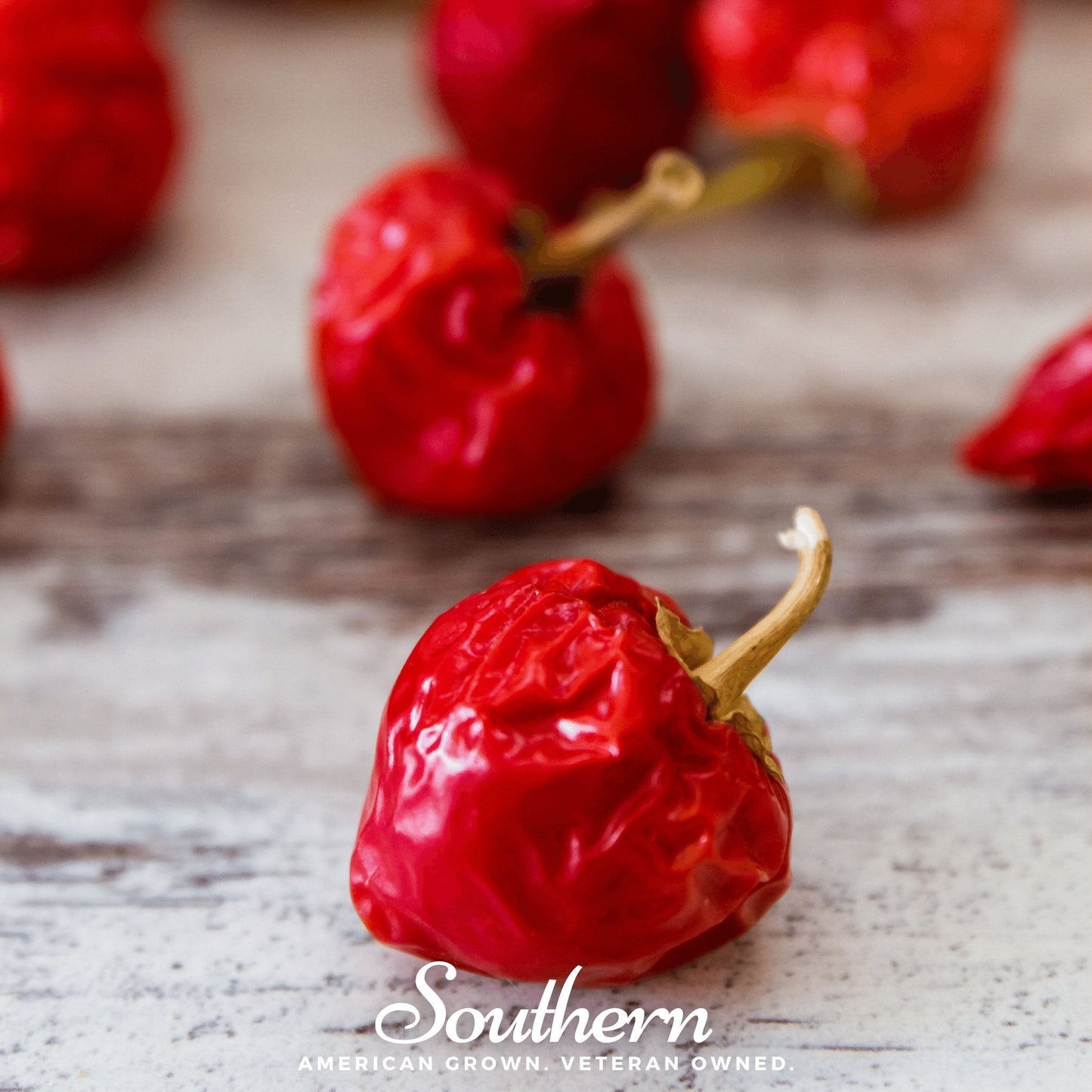 Red Hot Cherry Pepper seeds from Southern Seeds, vibrant red cherry peppers, small hot peppers, packaged for planting.