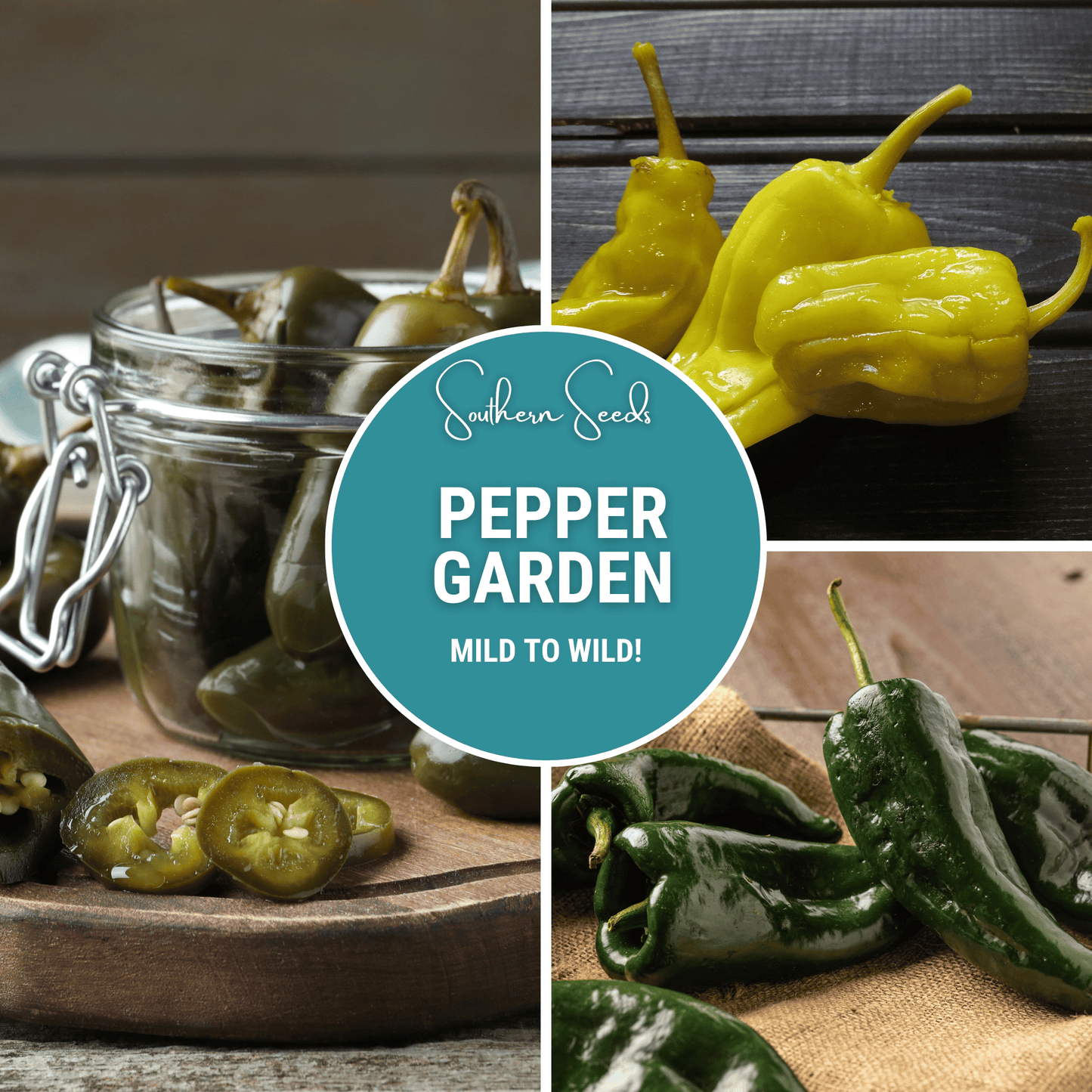 Collection of six heirloom pepper seeds from Southern Seeds, showcasing various colorful pepper seed packets.