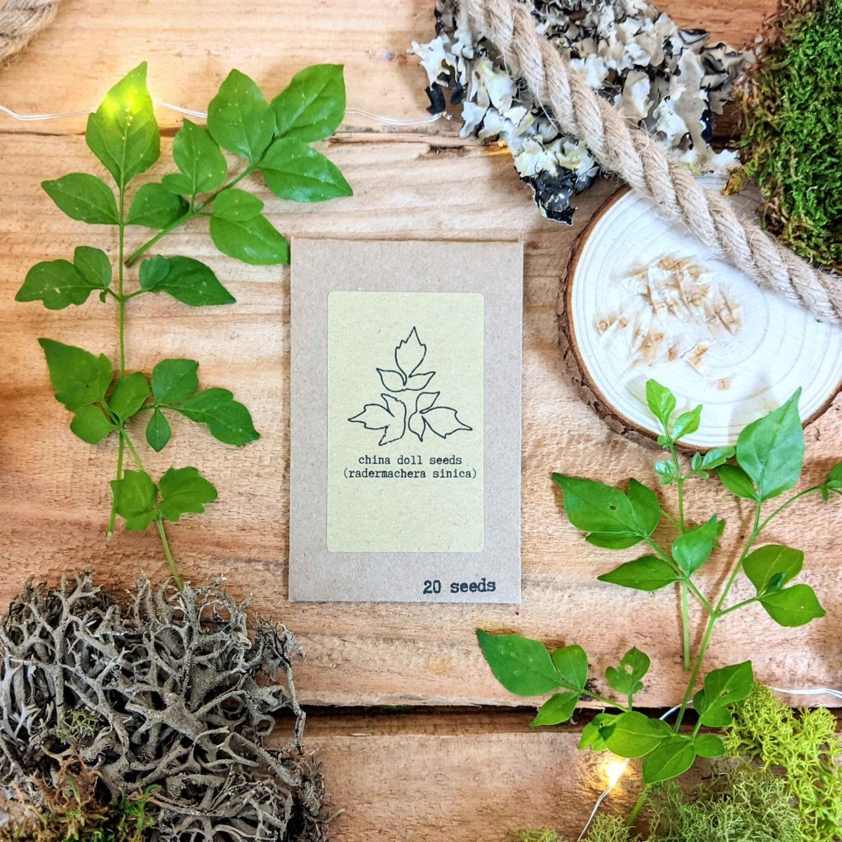 Collection of Pet-Friendly Houseplant Seeds by Plantflix, featuring various easy-to-grow, non-toxic indoor plant seeds.