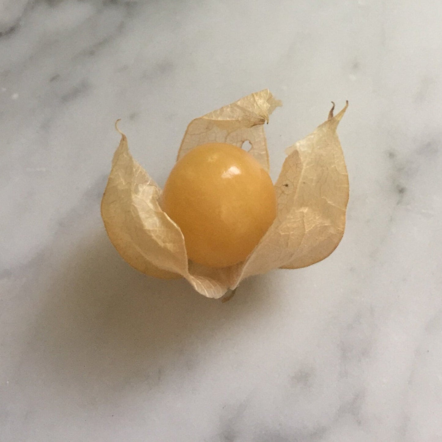 Pineapple Ground Cherry Seeds – Heirloom Husk Cherry, Sweet Tropical Flavor, 25 Count