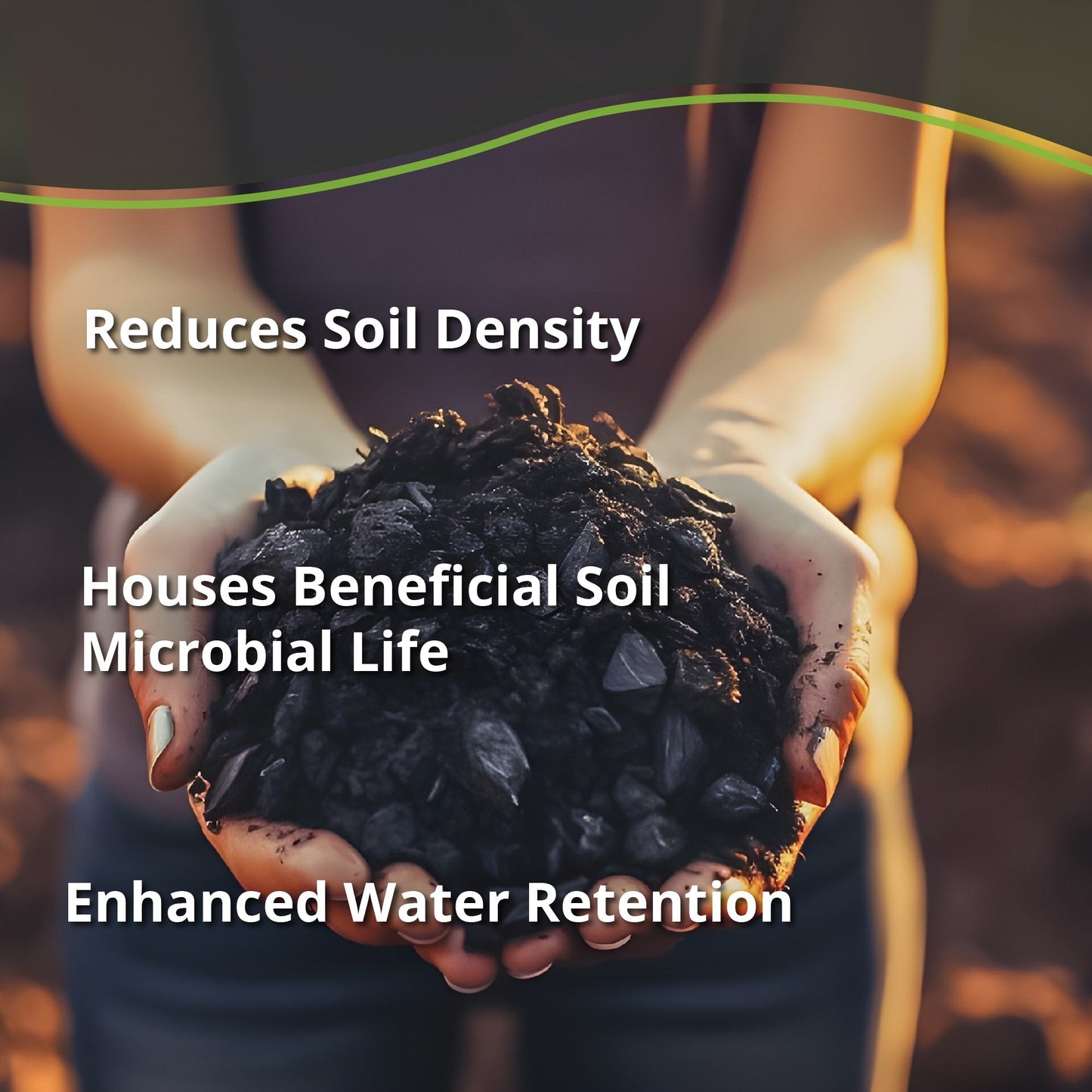 Plantonix Char Bliss Premium Biochar Soil Amendment fertilizer in a 1-quart container, showing the product label and packaging.